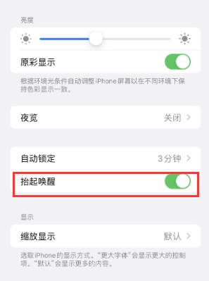 东河苹果授权维修站分享iPhone轻点无法唤醒怎么办