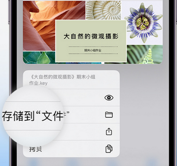 东河apple维修中心分享iPhone文件应用中存储和找到下载文件