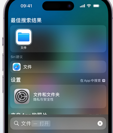 东河apple维修中心分享iPhone文件应用中存储和找到下载文件