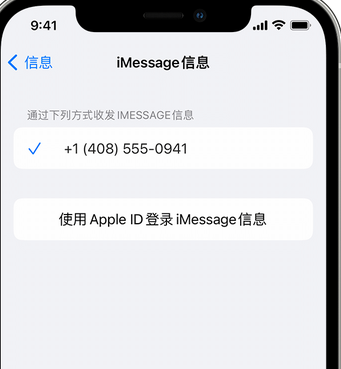 东河apple维修iPhone上无法正常发送iMessage信息