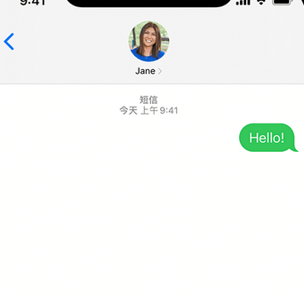 东河apple维修iPhone上无法正常发送iMessage信息