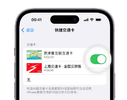 东河apple维修点分享iPhone上更换Apple Pay快捷交通卡手绘卡面 