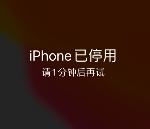 东河苹果手机维修分享:iPhone 显示“不可用”或“已停用”怎么办？还能保留数据吗？ 