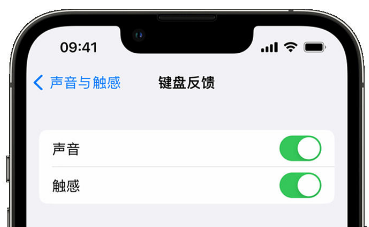 东河苹果手机维修分享iPhone 14触感键盘使用方法 