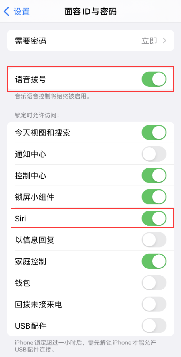 东河苹果维修网点分享不解锁 iPhone 的情况下通过 Siri 拨打电话的方法 