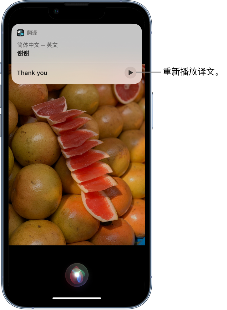 东河苹果14维修分享 iPhone 14 机型中使用 Siri：了解 Siri 能帮你做什么 