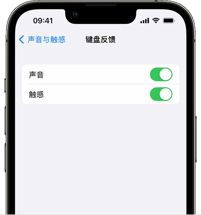 东河苹果14维修分享iPhone 14 系列机型如何开启键盘声音或触感反馈 