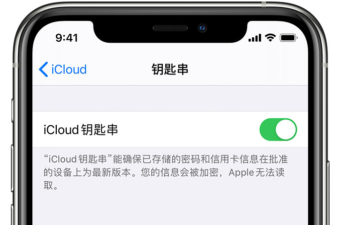 东河苹果手机维修分享在 iPhone 上开启 iCloud 钥匙串之后会储存哪些信息 