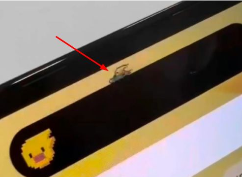 东河苹果14维修分享iPhone 14 Pro Max灵动岛怎么养宠物 