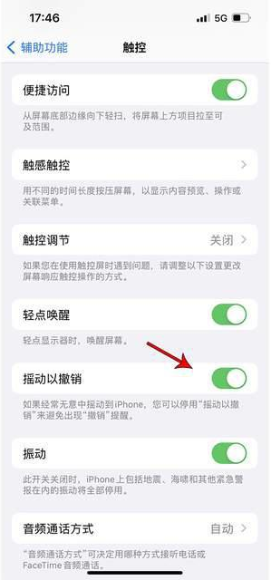 东河苹果手机维修分享iPhone手机如何设置摇一摇删除文字 